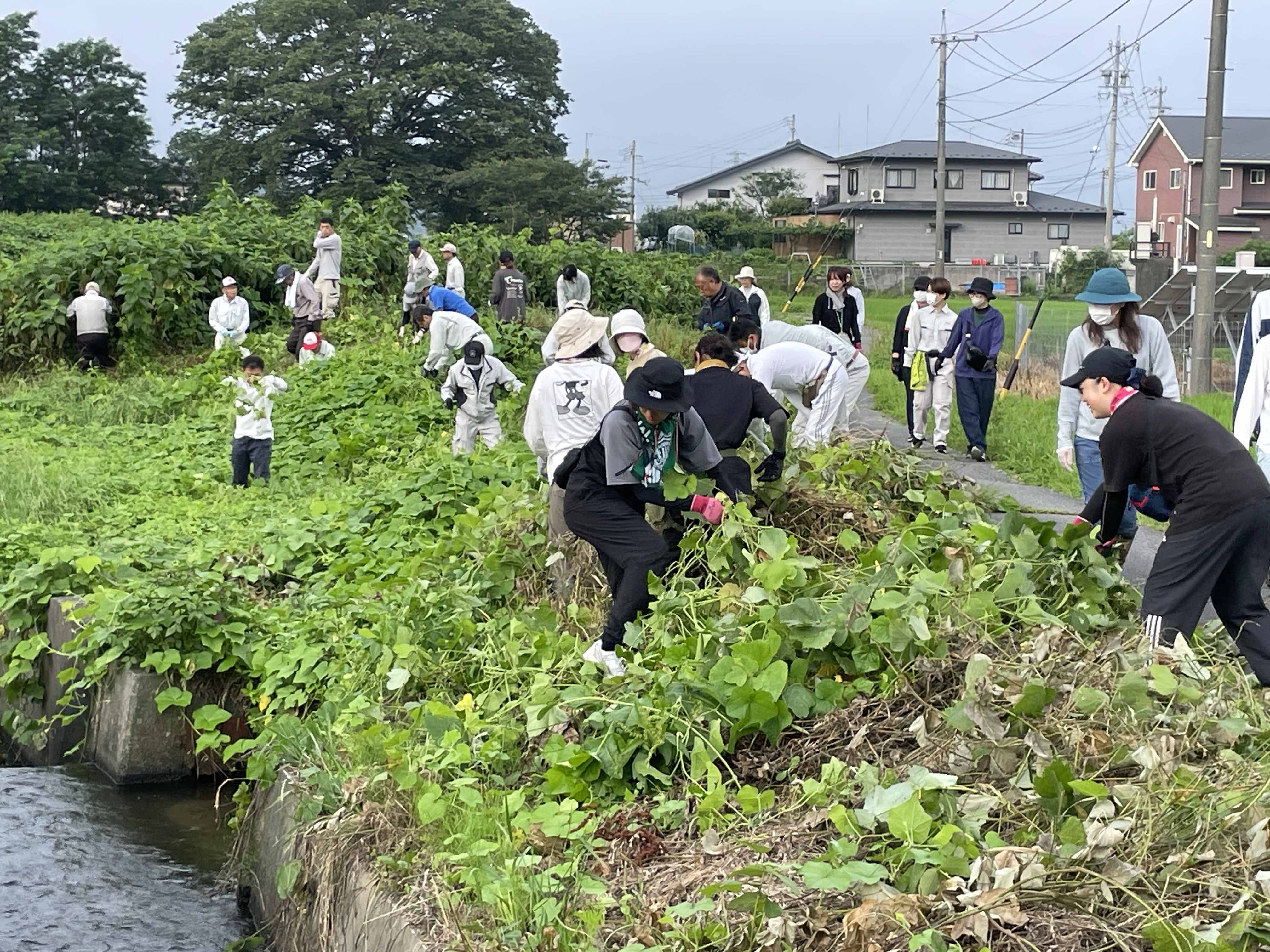 活動状況写真