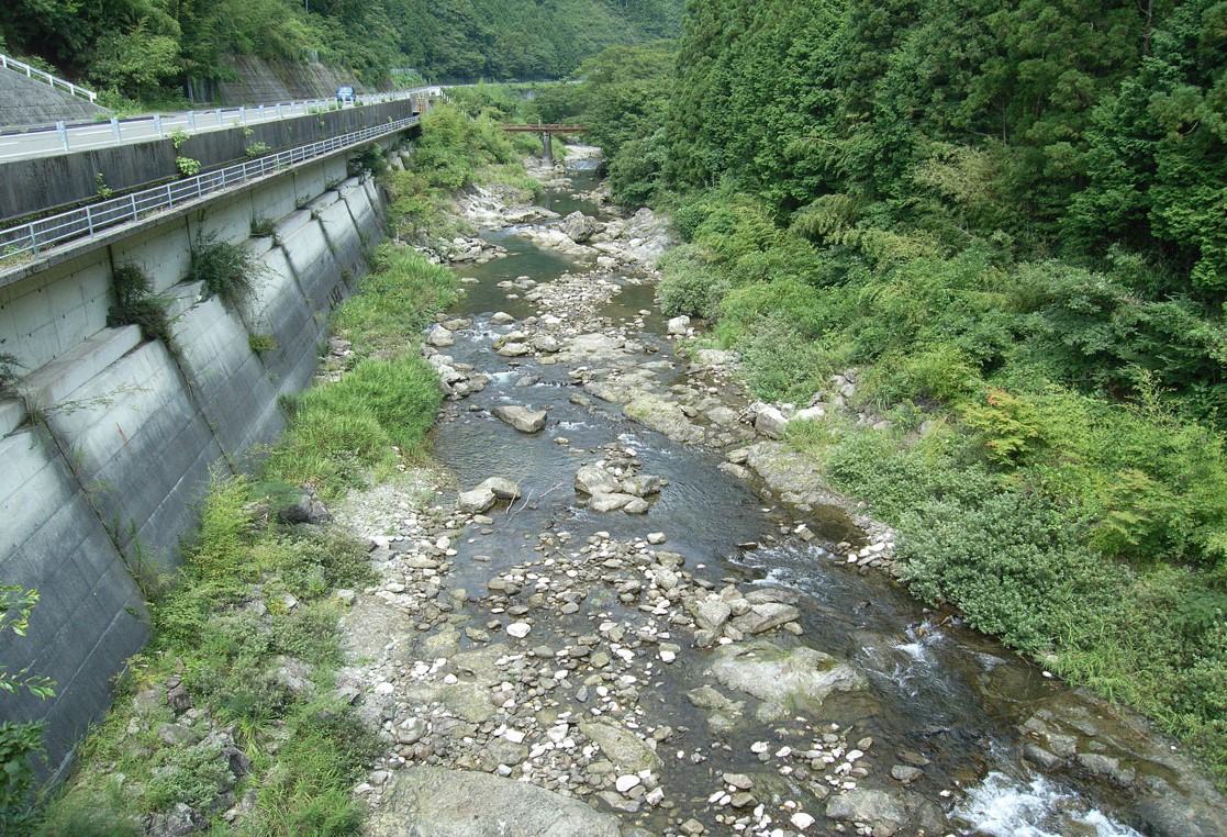 活動状況写真