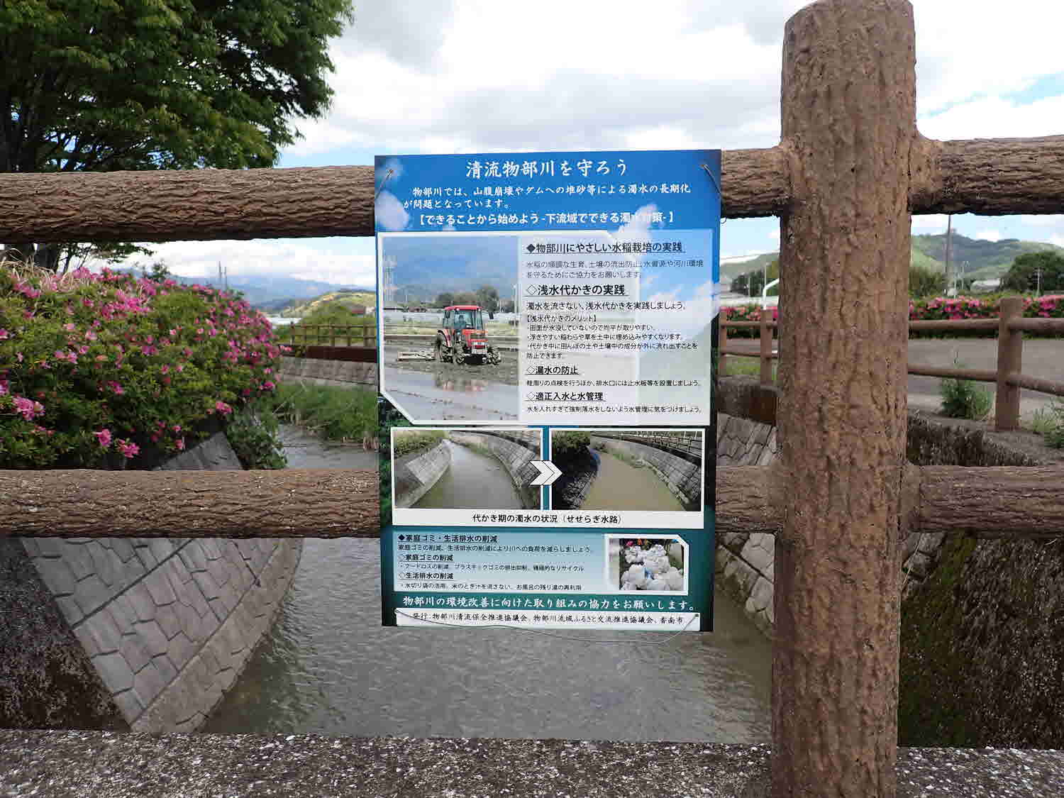 活動状況写真