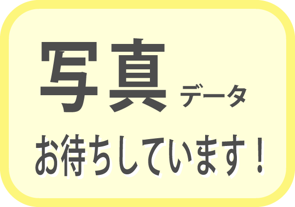 活動状況写真